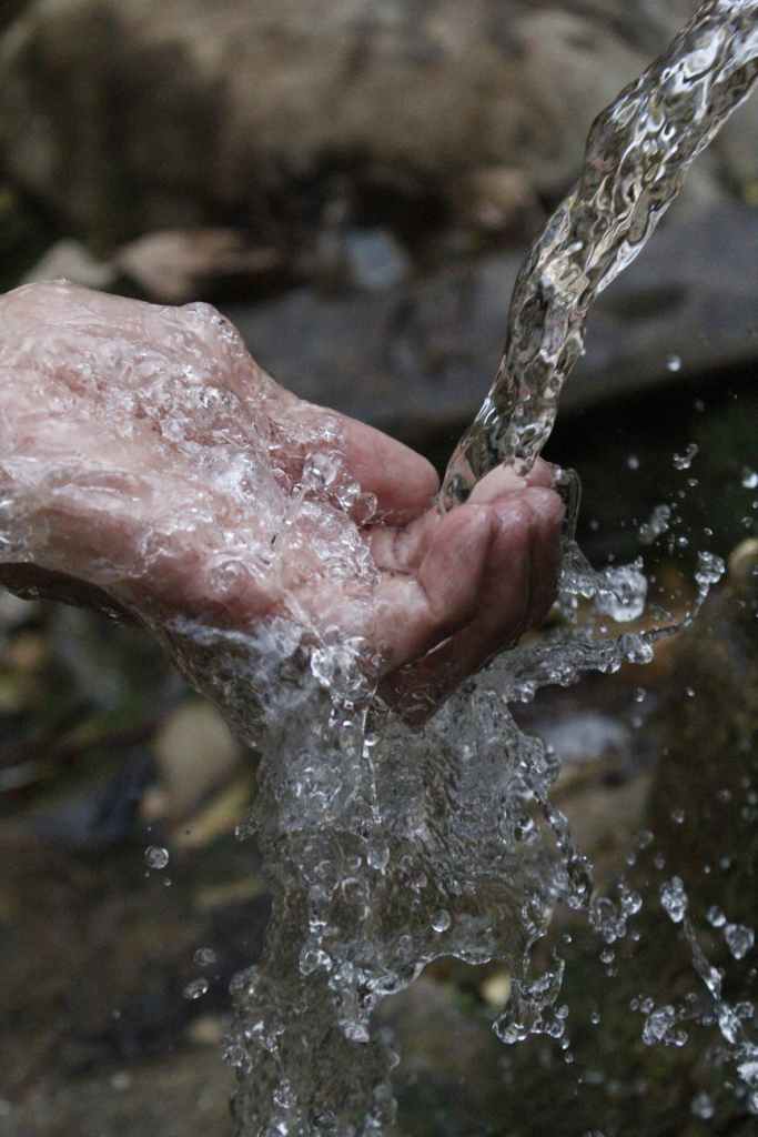 Cleansing